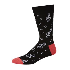 Bamboozld Socks Beethoven